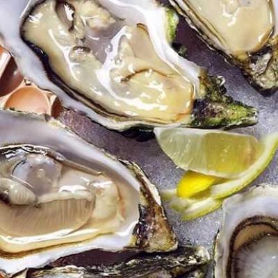 Rooney oysters